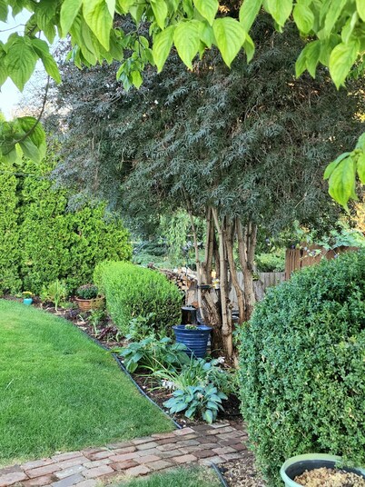 Cute private home in the heart of Yakima. Easy access to best city attractions..