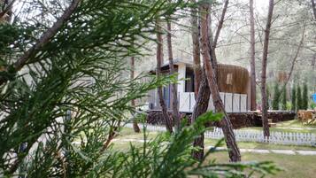 Facciata della struttura