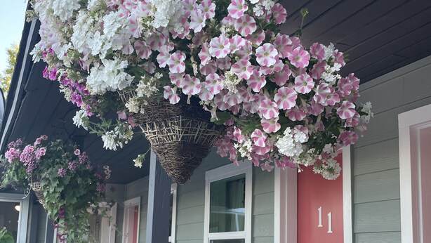 Un edificio con un portico decorato da cesti di fiori appesi e una porta rossa.