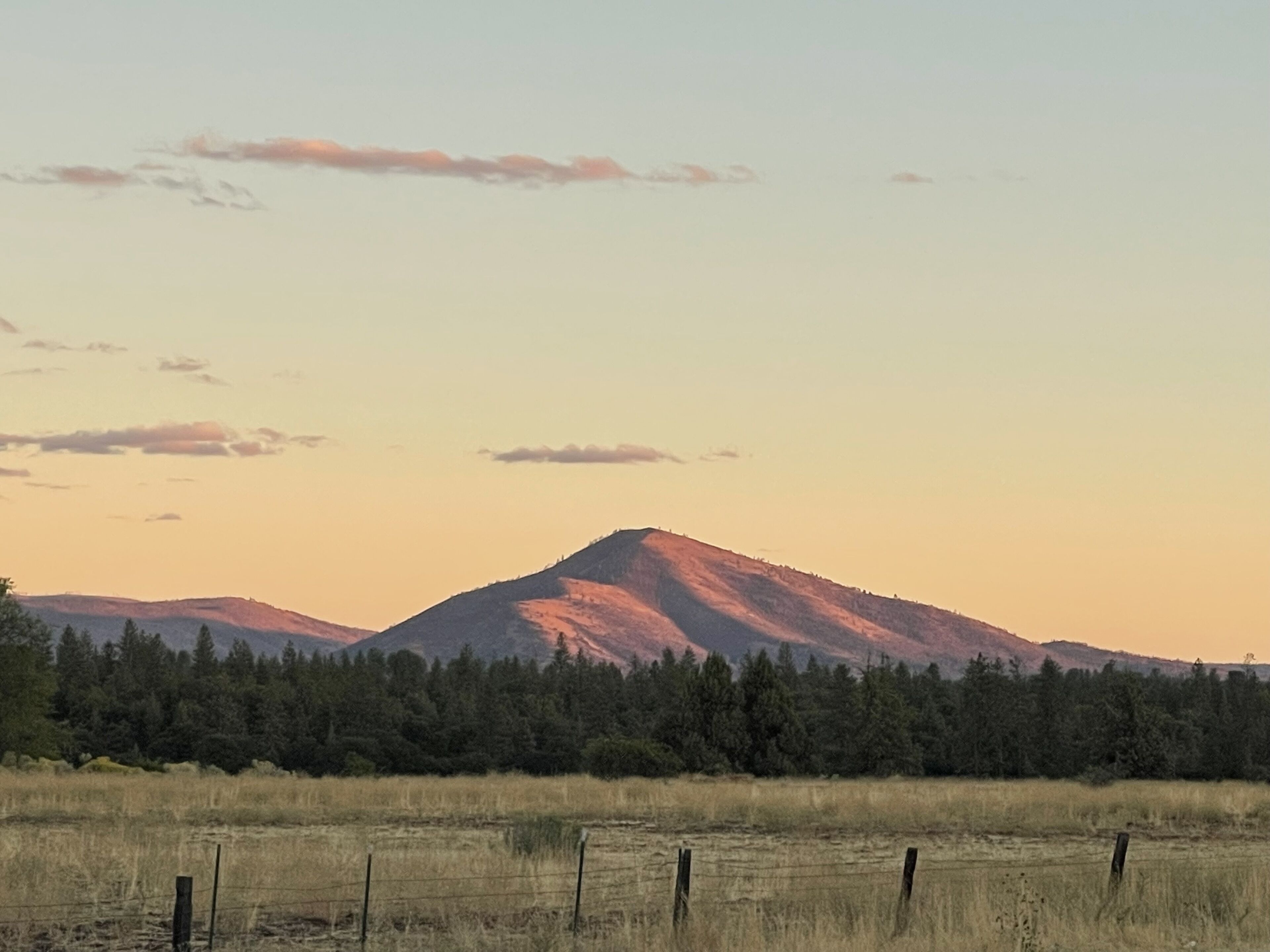 comfort room | 1 bedroom, egyptian cotton sheets, premium bedding, memory-foam beds