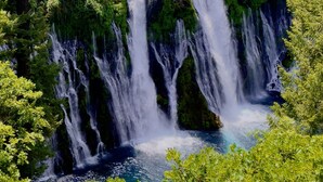Una cascata immersa in una fitta foresta.
