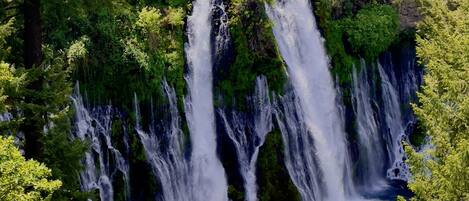 Uma cascata rodeada por uma floresta densa.