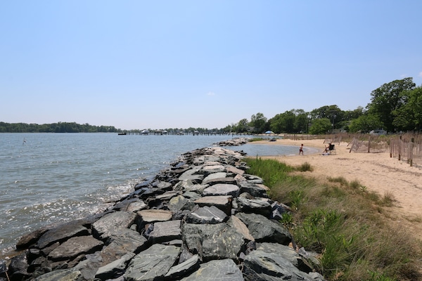 Plage à proximité, chaises longues, serviettes de plage