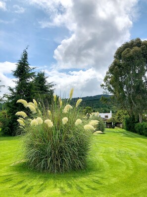 المنطقة المحيطة بالمنشأة