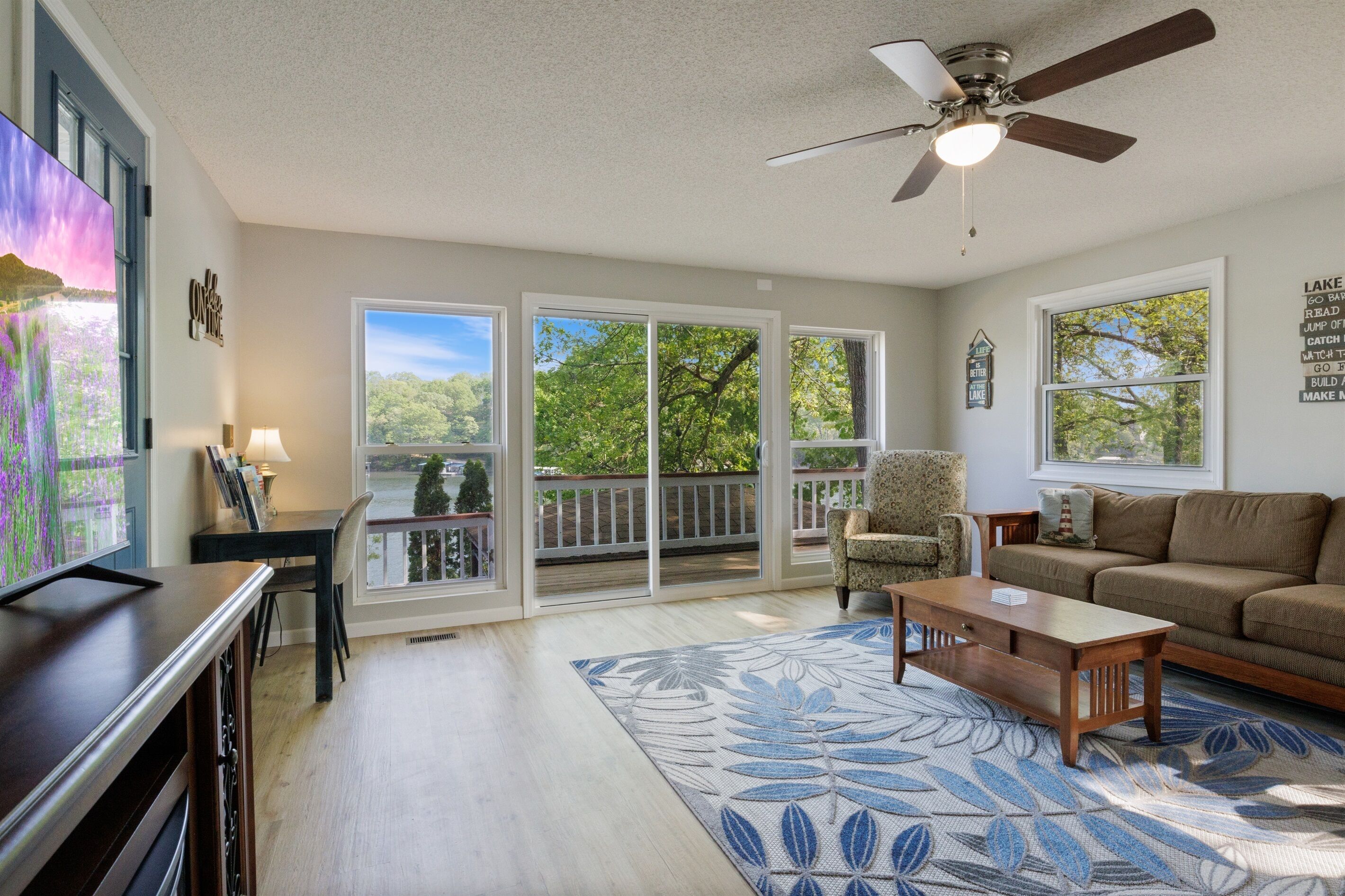 TV connectée, cheminée, lecteur de DVD, livres