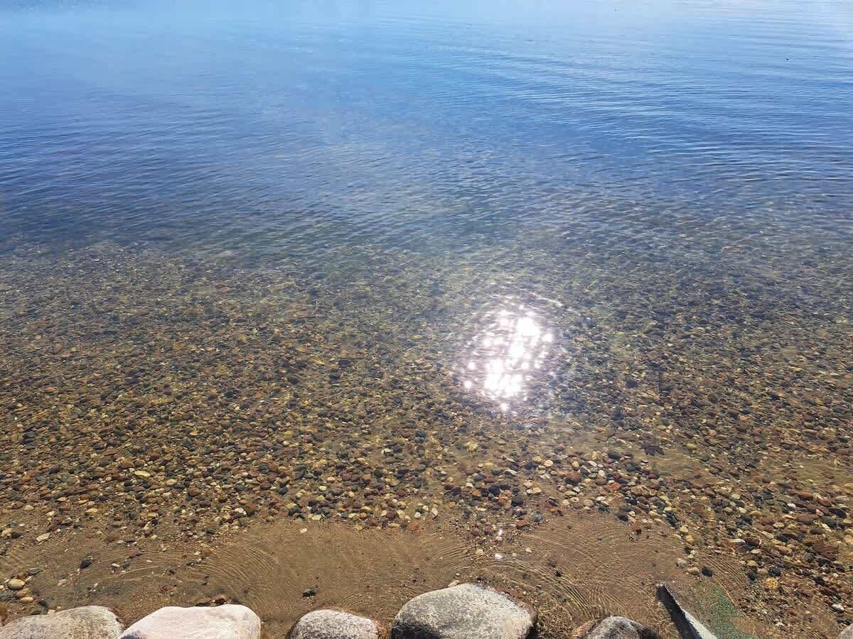 Una vista despejada de una playa de guijarros con una masa de agua tranquila al fondo.