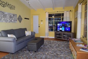 Smart TV, DVD player, books, music library