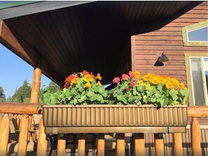 Udvendig detalje