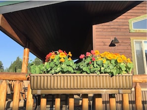 Udvendig detalje