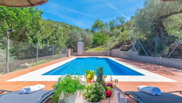 A swimming pool with a tiled deck, surrounded by a fence and trees. There are lounge chairs and a table with drinks and fruits.