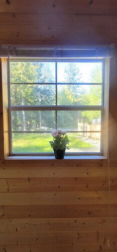 Serenity Cottage in the Woods