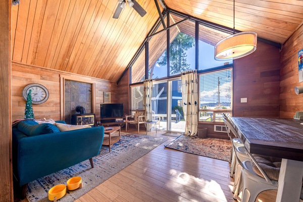 Smart TV, fireplace, books, stereo