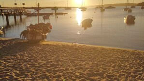 ビーチの近く