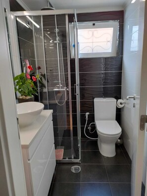 Combined shower/bathtub, hair dryer, towels, soap