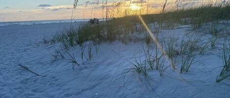 Plage à proximité, chaises longues, serviettes de plage