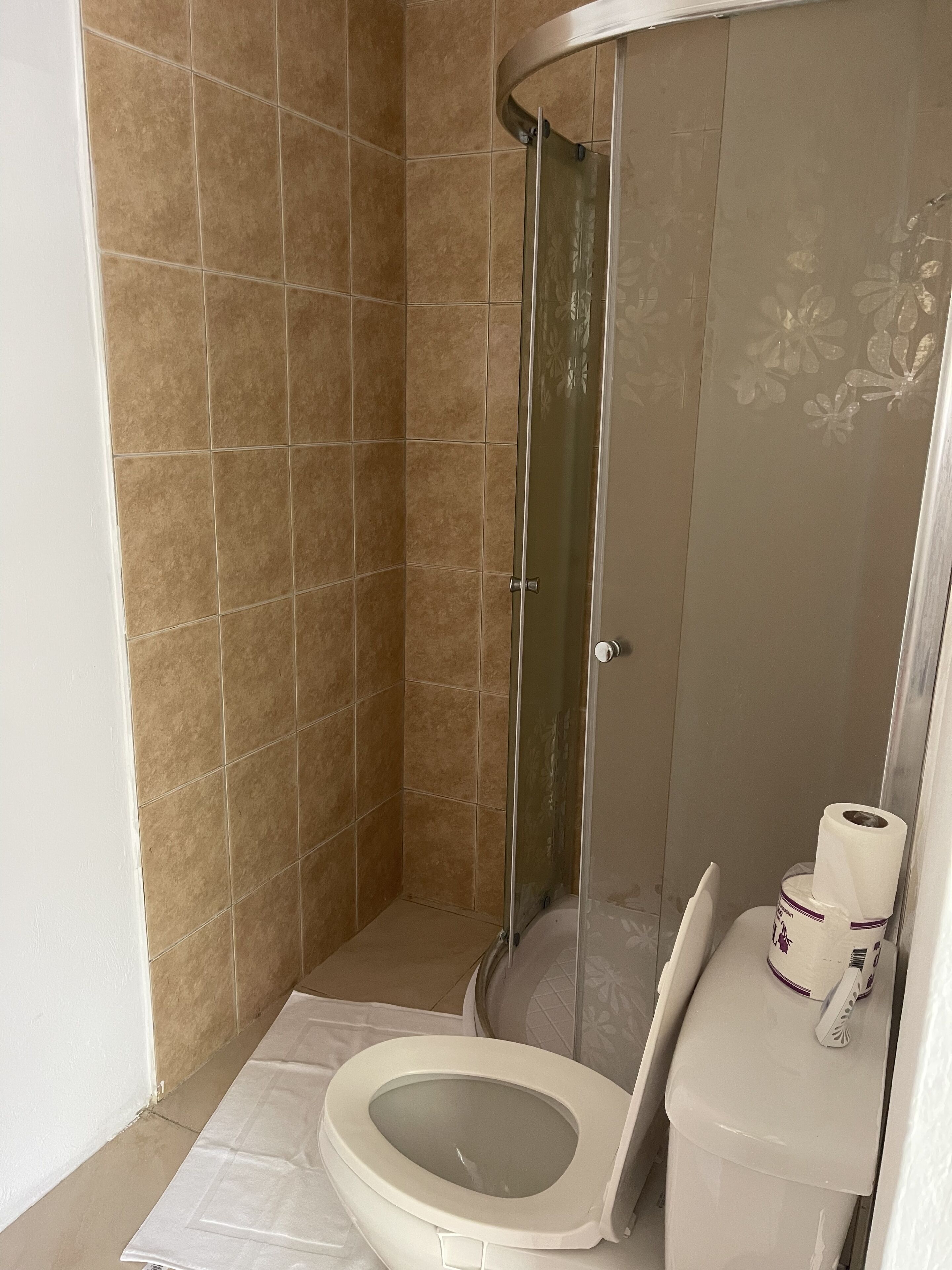 Shower, towels, toilet paper