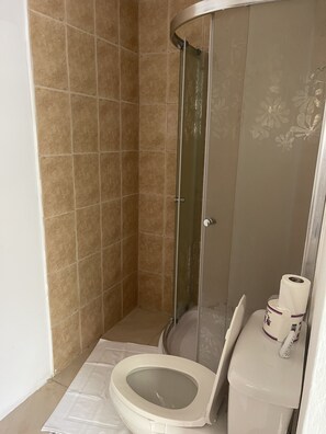 Shower, towels, toilet paper