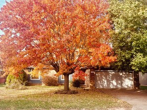 Property grounds - Beautiful Home in the Heart of Springfield! So Perfect! (Springfield)