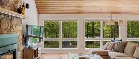 TV connectée, cheminée, jeux vidéo, lecteur de DVD