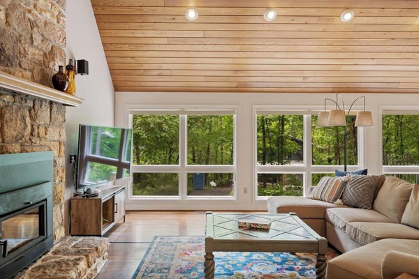 Televisor intel·ligent, llar de foc, videojocs i reproductor de DVD