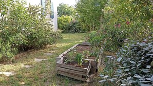 A garden with raised beds and various plants. - VILLA VAUNAGE (Calvisson)