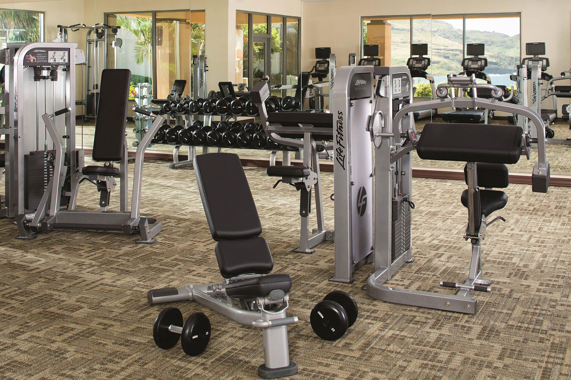 Un gimnasio con equipos de ejercicio variados, incluyendo mancuernas, un banco y máquinas de pesas.