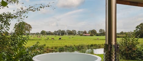 Ulkoporeallas