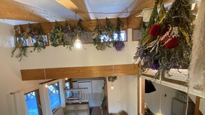 A cozy interior with a wooden ceiling, a sofa, a pet bed, and hanging plants. - FamC (Nakafurano)