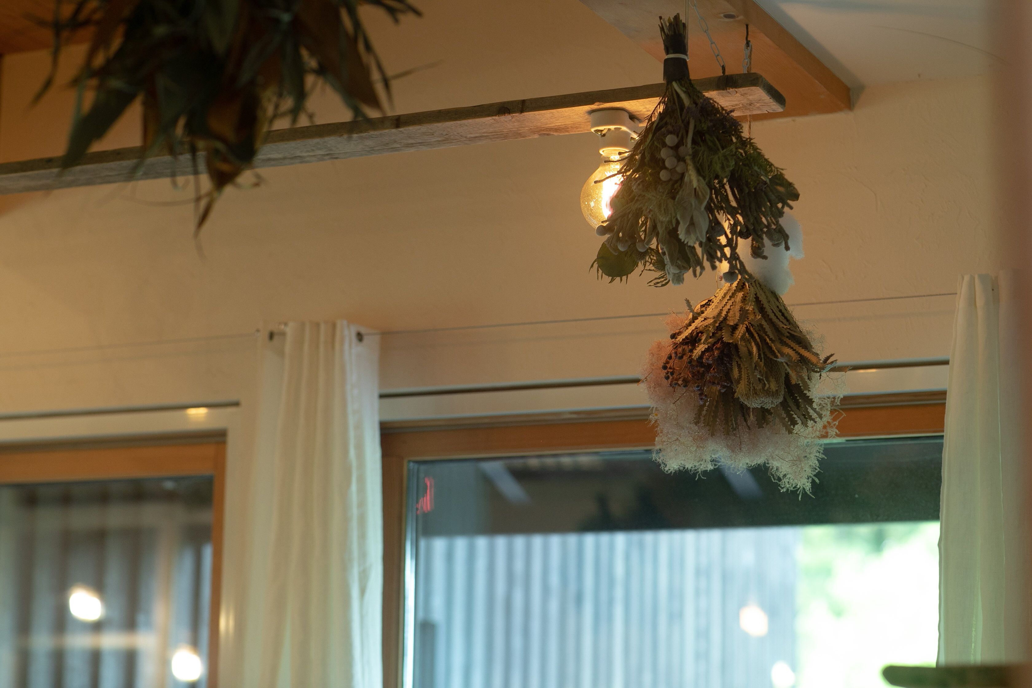 A room with a hanging plant, a window with a view, and a ceiling light fixture.