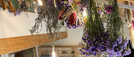 基本客房 | 起居區