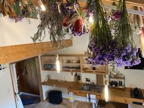 A kitchen with wooden shelves, a sink, and hanging plants. - FamB (Nakafurano)
