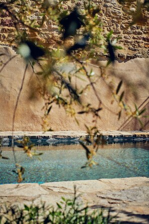 Outdoor pool - Magnificent Provencal House Full of Charm and Taste (Aigaliers)