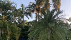 Una piscina rodeada de palmeras y un camino de ladrillo.