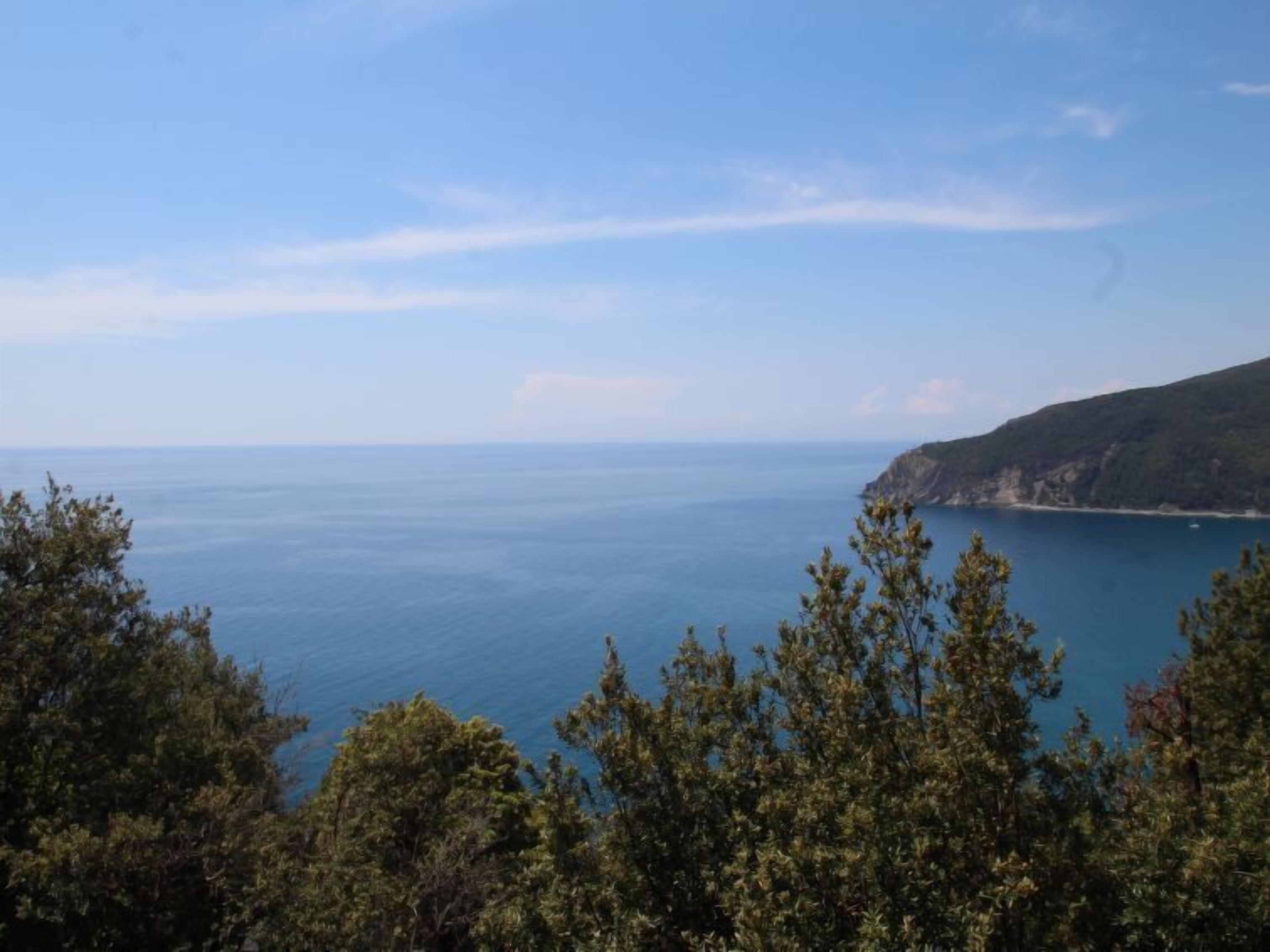 منوع