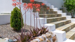 Een modern gebouw met witte muren en een houten pergola. Rode bloemen en een kleine groene struik bevinden zich voor de treden.