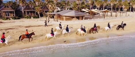 Plage à proximité