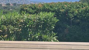 Ărea da propriedade