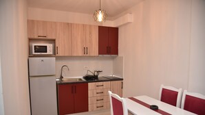 Family Apartment, 1 Bedroom | Private kitchen | Electric kettle, cookware/dishes/utensils, cleaning supplies