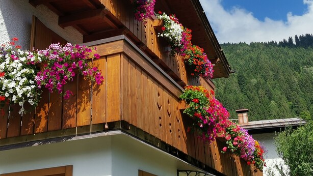 Un bâtiment en bois doté de balcons ornés de fleurs aux couleurs vives.