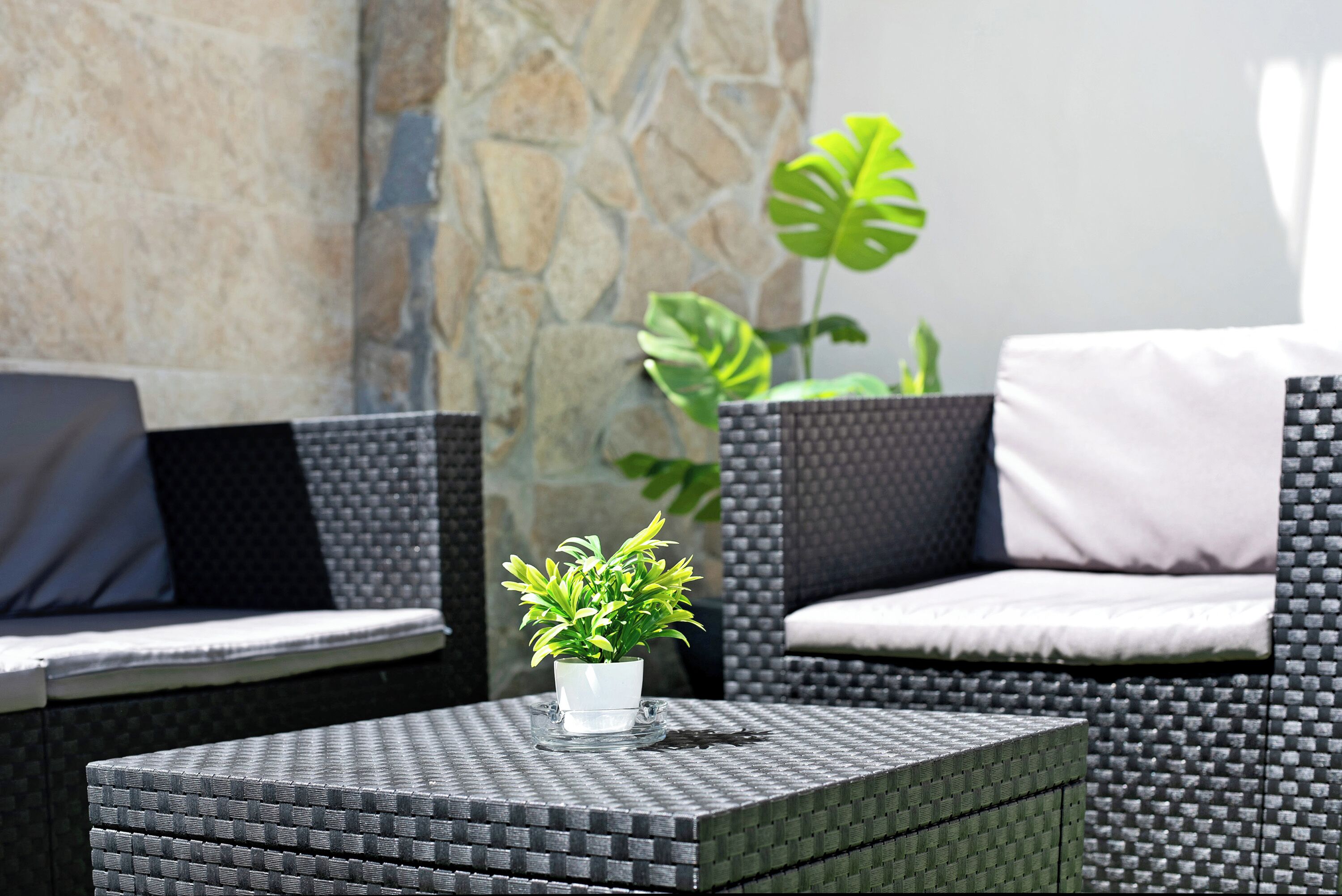 Jardines del alojamiento