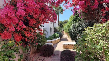 Overnatningsstedets område