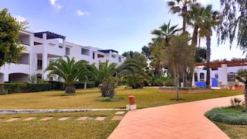 Terrein van de accommodatie