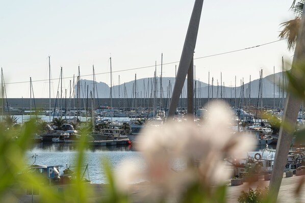 Un port de plaisance où sont amarrés de nombreux bateaux, un ciel dégagé et des montagnes en arrière-plan.