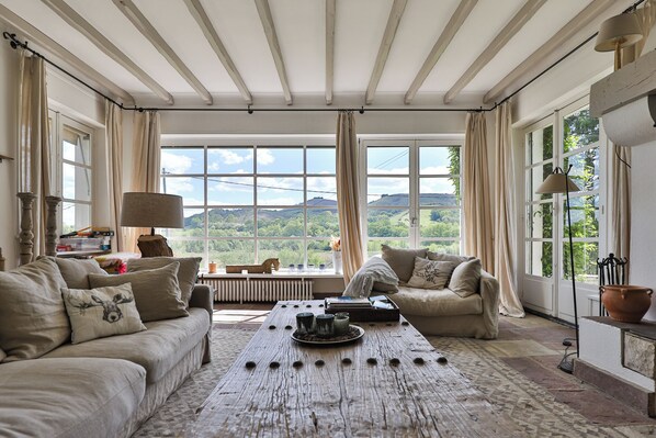 Televisio, takka, pöytätennispöytä, kirjoja