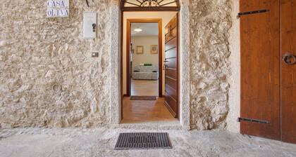 Appartement de vacances Casa Oliva avec vue sur le lac, balcon et Wi-Fi.