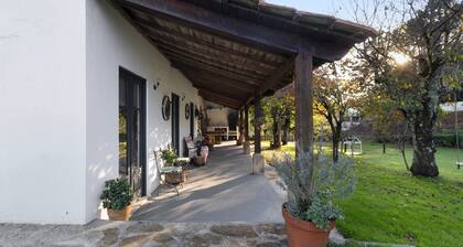 Quinta "Ăpicos House" avec piscine et Wi-Fi