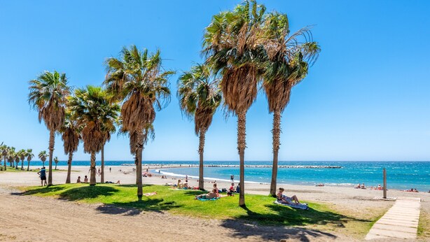 A beach with palm trees, a wooden walkway, and people relaxing on the sand. - Apartamento Residencial Limonar with A/C & Wi-Fi (Málaga)
