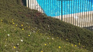 A swimming pool with a view of mountains, a multi-story building with balconies, and a grassy area with flowers. - Apartment at "Chalet Jade" with Mountain Views, Balcony, and Wi-Fi (Saint-Gervais-les-Bains)