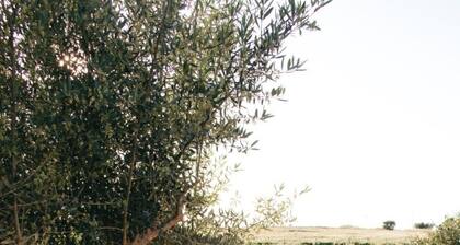 Country House 'Casa Do Vagar' with Private Pool, Wi-Fi and Air Conditioning