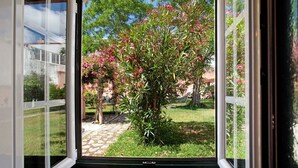 Una ventana con vista a un jardín que tiene un árbol y un sendero.